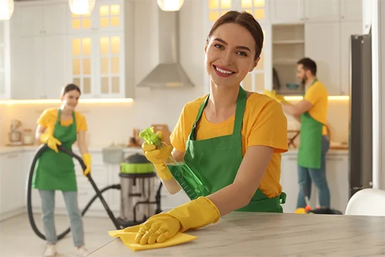 Professional Cleaning Services